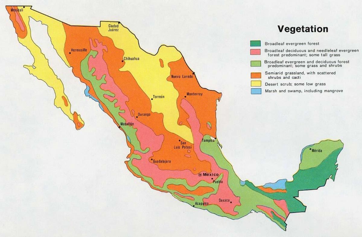 Karte von Mexiko-natual Ressourcen