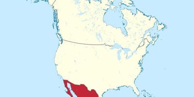 Mexiko und Amerika Karte